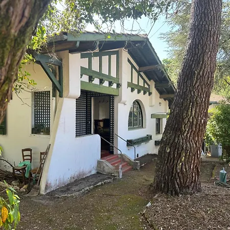 La Petite Maison Du Moulleau Casa vacanze *