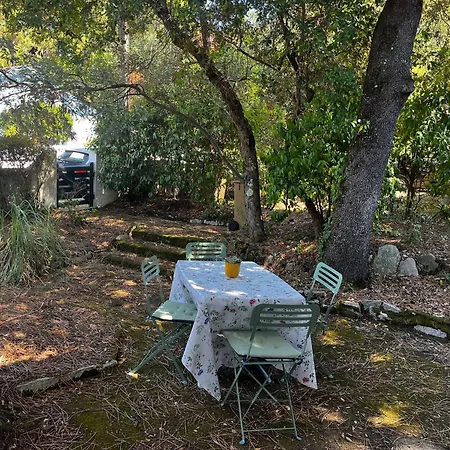 La Petite Maison Du Moulleau Arcachon